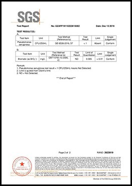SGS 产品检测报告 第4页