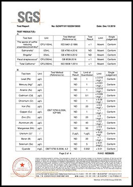 SGS 产品检测报告 第6页