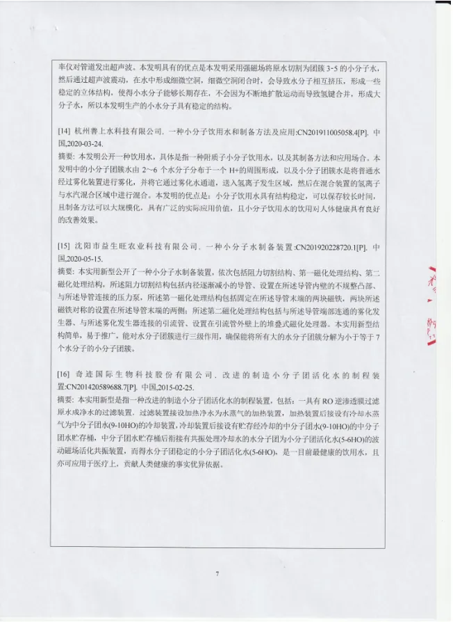 布灵美专利科技——“水小分子化系统”科技查新报告　配图 7